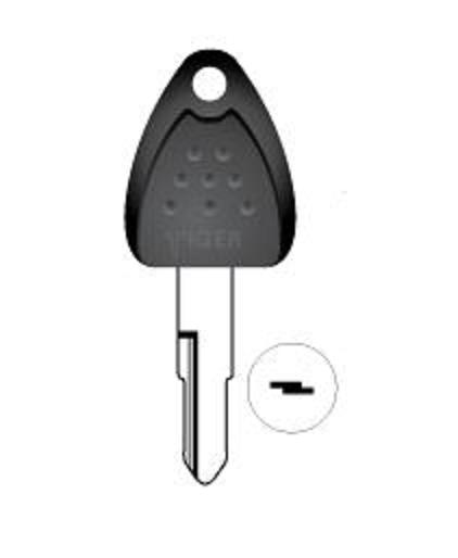 HD75 Large Head Tiger (image for) HD75 Large Head Tiger