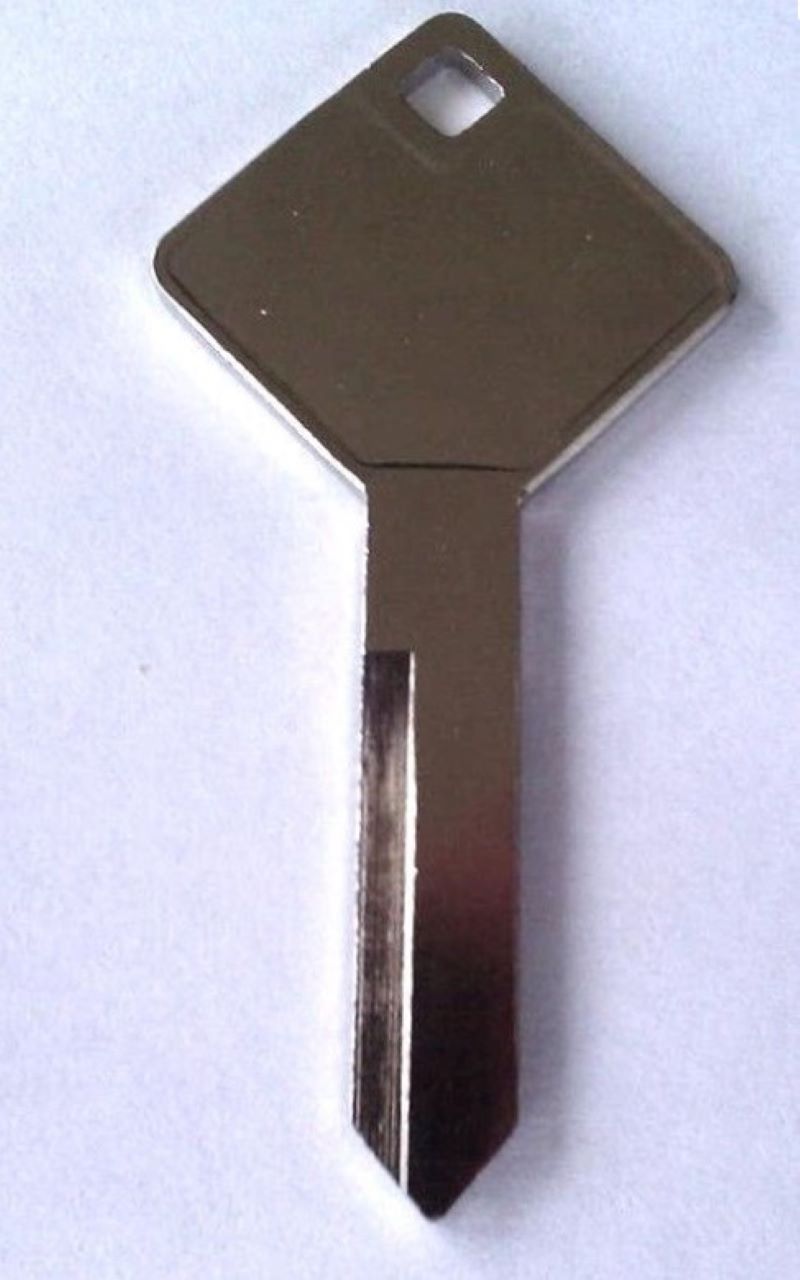 Winnebago Cargo Door Strattec (image for) Winnebago Cargo Door Strattec